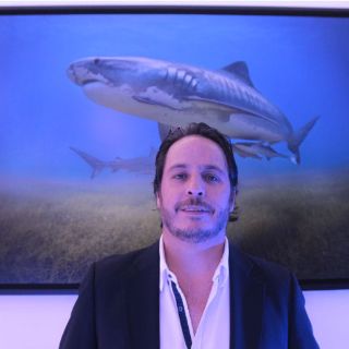 Tiburones, mitos y realidades