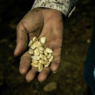 La relación humana con la naturaleza, un conflicto global