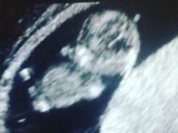 Hace unas semanas, Marjorie de Sousa y Julián Gil anunciaron que esperan a su primer bebé. INSTAGRAM / marjodsousa