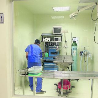 De toda la ciudad acuden al Hospital Veterinario