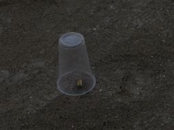 La Fiscalía General del Estado confirma los hechos; uno de los heridos es reportado grave. EL INFORMADOR / ARCHIVO