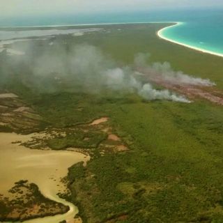 Solicitarán veda de 20 años en zona incendiada de Holbox