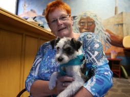 A través de su relación con el animal pueden conectarse con su entorno y mejorar su capacidad de recordar pasajes de su vida. EL INFORMADOR / ARCHIVO