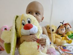 La leucemia linfocítica crónica es un cáncer que avanza lentamente y es incurable. EFE / ARCHIVO