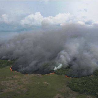 Incendio en la Reserva de la Biosfera amenaza la zona de manglares