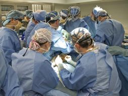 La Entidad también lidera los números de trasplante de córneas, pues a la fecha se reportan 42 procedimientos de este tipo. EFE / ARCHIVO