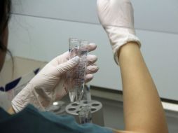 Las mujeres que desean embarazarse después de los 40 pueden tener un embarazo de calidad mediante óvulos vitrificados. EFE / ARCHIVO