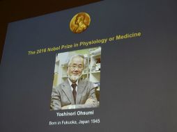 Ohsumi nació en 1945 en Fukuoka, Japón. Es profesor del Instituto de Tecnología de Tokio. EFE / S. Stjernkvist