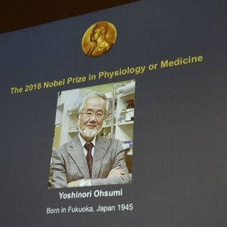 El japonés Yoshinori Ohsumi gana el Premio Nobel de Medicina