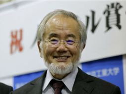 Yoshinori Ohsumi afirma haber evitado siempre los campos de investigación más populares. EFE / K. Mayama