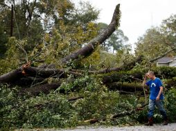 Florida amanece abocada a las labores de recogida de árboles caídos y a la restauración del tendido eléctrico. AFP / D. Angerer