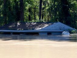 En Carolina del Norte registran ocho muertes, muchas de ellas relacionadas con las inundaciones. EFE / C. Penna