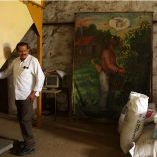 Apuestan por producción de café gourmet en Jalisco