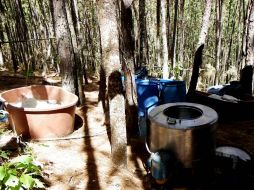 El inmueble, la droga y los detenidos quedaron a disposición de la autoridad competente. NTX / ARCHIVO