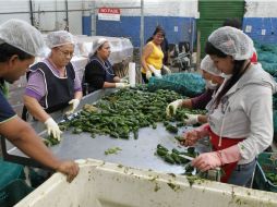El Banco Diocesano de Alimentos duplicará su nivel de atención al construir un segundo edificio. EL INFORMADOR / A. Camacho