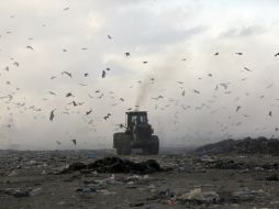 Israel y Palestina han estado en conflicto desde hace tiempo. AP / K. Hamra