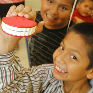 Conoce la verdad detrás de los dientes de leche