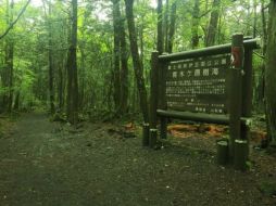 El Aokigahara es mejor conocido como 'El Bosque de los Suicidas' ya que en el 2010 se hallaron 247 cadáveres en la zona. TWITTER / @FoodandTravelMX