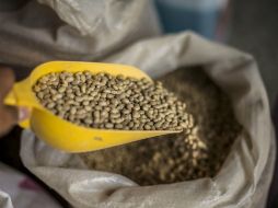 El frijol es un grano nutritivo que contiene proteínas, aminoácidos, fibra, grasa y minerales. EL INFORMADOR / ARCHIVO