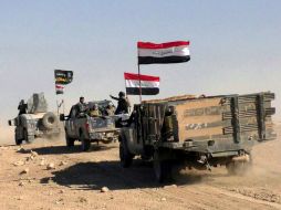 Los yihadistas suelen colocar minas y  trampas explosivas en las zonas que controlan para frenar el avance de tropas. EFE / STR