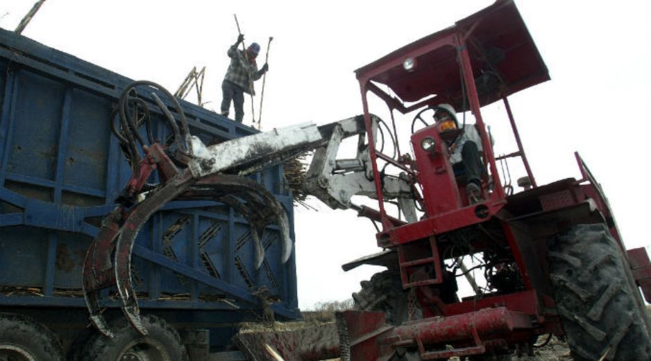 La agroindustria de la caña de azúcar en México representa 0.47 por ciento del Producto Interno Bruto. EL INFORMADOR / ARCHIVO