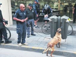 Los perros han resultado ser de gran ayuda para detectar sustancias ilegales en lugares poco usuales. ESPECIAL /