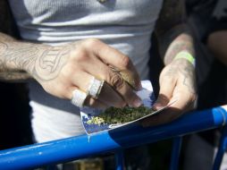 Tres estados más, incluido California, legalizaron el consumo de la yerba para todos los adultos. AFP / J. Connolly