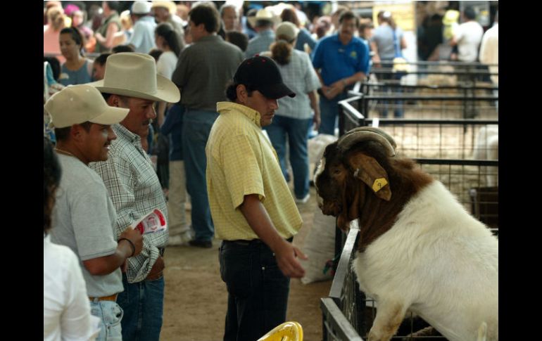En Sinaloa desde hace varios años está prohibida la difusión e interpretación de los narcocorridos. EL INFORMADOR / ARCHIVO