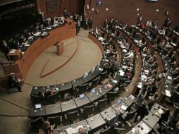 Anteriormente, el PVEM había sido sancionado con 3.2 millones de pesos. EFE / ARCHIVO