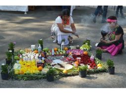 La herbolaria mexicana es muy completa y capaz de curar diversas enfermedades. NTX / ARCHIVO
