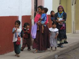 Diseñaron el primer material informativo y preventivo sobre cáncer de mama en lengua maya, náhuatl y otomí. EL INFORMADOR / ARCHIVO
