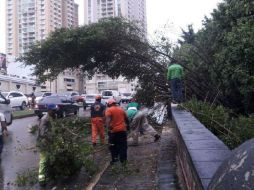 Las autoridades panameñas declararon ayer la alerta amarilla en cuatro provincias del norte y oeste del país. ESPECIAL /