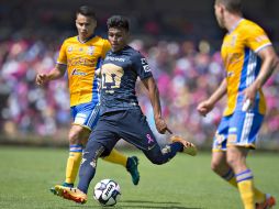 De los ocho partidos que Pumas disputó en casa ganó seis, empató uno y perdió uno, precisamente contra Tigres. MEXSPORT / ARCHIVO
