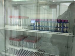 La vacuna contra el dengue está indicada para la población de 9 a 45 años de edad. EL INFORMADOR / ARCHIVO