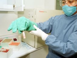 Una de las mayores aspiraciones de la medicina regenerativa es llegar a reparar tejidos utilizando células madre. NTX / ARCHIVO