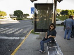 Por un millón de pesos se autorizó la publicidad en vía pública a través de parabuses a Comercializadora IMU SA de CV. EL INFORMADOR / ARCHIVO