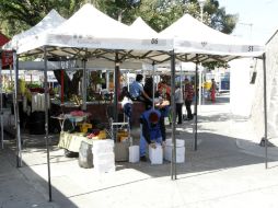 Los comerciantes aseguran que los lugares en el mercado Aldama no están en buenas condiciones. EL INFORMADOR / ARCHIVO