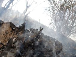 El problema comenzó cuando un incendio forestal se esparció desde el Parque Nacional hacia la turística localidad de Gatlinburg. NTX / ARCHIVO