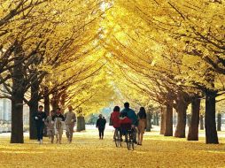 Tokio ha crecido un 24 por ciento con respecto al 2015. AFP / ARCHIVO