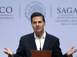 El Mandatario asistió acompañado de José Antonio Meade. SUN / I. Stephens