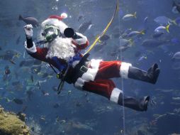 El buzo George Bell lució su traje de Santa Claus y nadó entre corales y peces. AP / J. Chiu