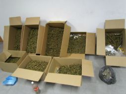 El sujeto también deberá pagar una multa de 100 días de salario mínimo. EL INFORMADOR / ARCHIVO