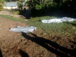 Siete de los asesinatos ocurrieron en Atoyac, en la Costa Grande. EFE /