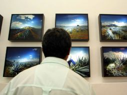 Una interesante opción cerca de Guadalajara la encontrarás en Tequila, con en el Museo Nacional dedicado a esta tradicional bebida. EL INFORMADOR / ARCHIVO