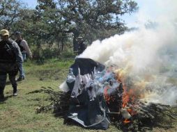 Autoridades del estado de Oaxaca, la PGR, y la Policía Federal, trabajaron de manera conjunta. NTX / ARCHIVO