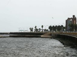 La medida buscará prevenir el deterioro del ecosistema de dunas que caracteriza a la costa uruguaya. EFE / ARCHIVO