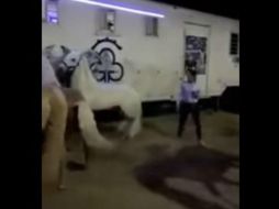 Emiliano Gamero generó polémica luego de que se difundiera un video donde se ve que golepa a sus caballos. YOUTUBE / I'm The Mockingjay