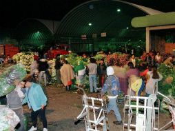 En el mercado Felipe Ángeles de Guadalajara, Jalisco, el aguacate se ofreció en 35 pesos. NTX / ARCHIVO