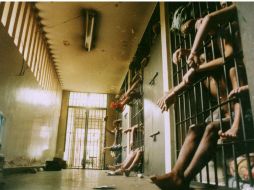 La Procuraduría de Justicia del Estado reveló que durante el levantamiento de actas y peritajes, se produjo una segunda riña. EL INFORMADOR / ARCHIVO