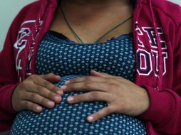 Las técnicas de reproducción asistida hacen un símil del proceso natural. EL INFORMADOR / ARCHIVO